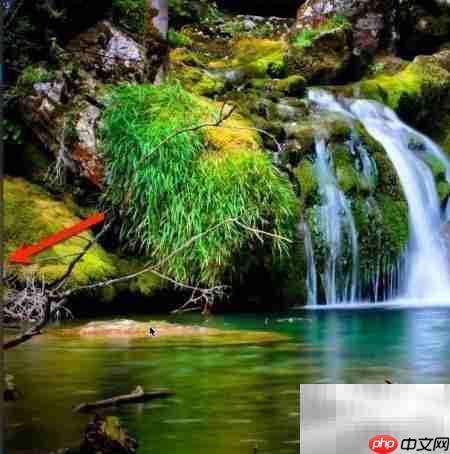 Snappy for Mac使用设置指南  第1张