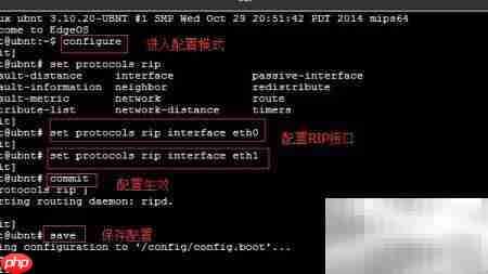 EdgeRouter RIP配置实例  第5张