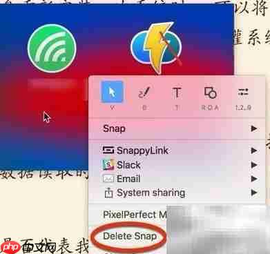Snappy for Mac使用设置指南  第12张