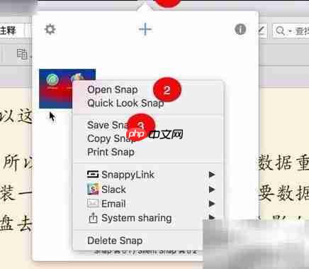 Snappy for Mac使用设置指南  第13张