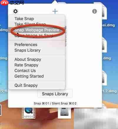 Snappy for Mac使用设置指南  第15张