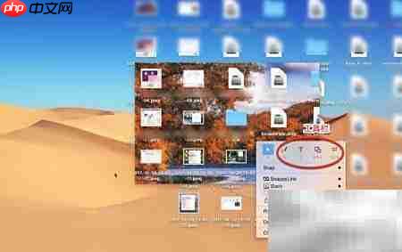 Snappy for Mac使用设置指南  第17张