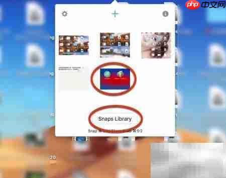 Snappy for Mac使用设置指南  第18张