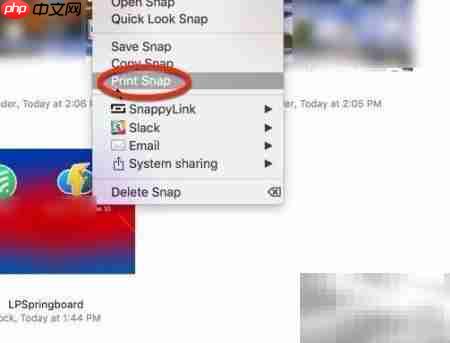 Snappy for Mac使用设置指南  第20张