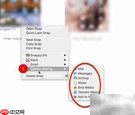Snappy for Mac使用设置指南  第22张
