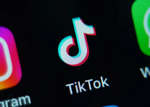 什么叫tiktok难民 tiktok难民什么情况  第1张
