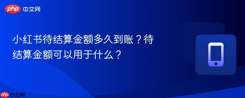 小红书待结算金额多久到账？待结算金额可以用于什么？