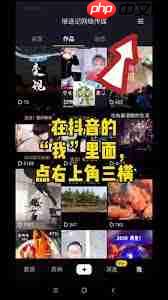 抖音火山版网页怎么登录官网  第3张