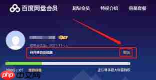 如何取消百度网盘会员自动续费  第3张