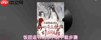 饭团追书app如何下载小说  第2张