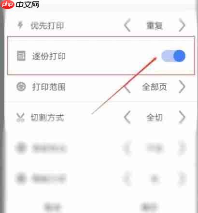 硕方打印app怎么逐份打印-逐份打印设置方法  第4张
