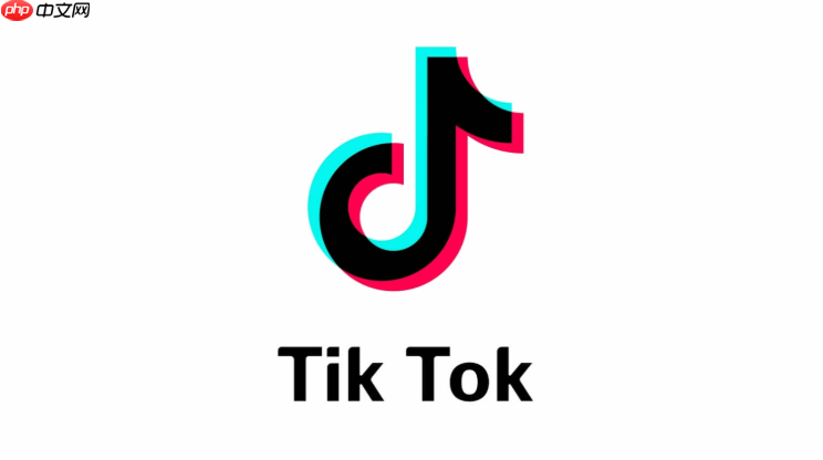 TikTok国际版网页版使用 TikTok网页端好友互动快速入口  第1张