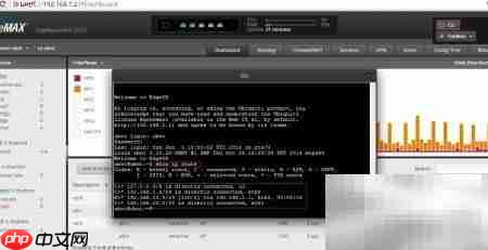 EdgeRouter RIP配置指南  第8张