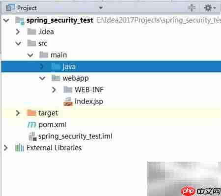 Spring Security环境搭建