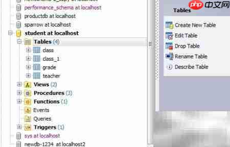 Maestro建表指南  第3张