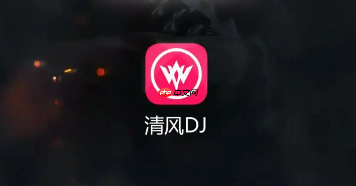 清风DJ如何在车机上直接听歌 清风DJ车载版安装使用教程