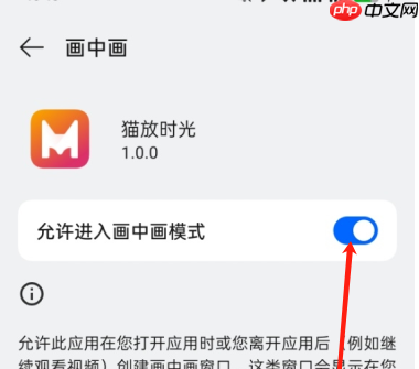 猫放时光app小屏观看方法  第3张