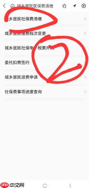 支付宝怎么交城乡居民医保缴费 支付宝交城乡居民医保缴费步骤  第3张