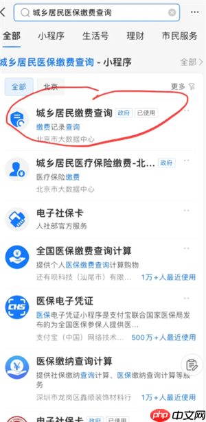 支付宝怎么交城乡居民医保缴费 支付宝交城乡居民医保缴费步骤  第6张