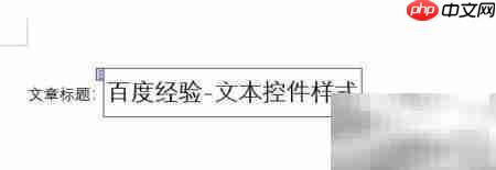 Word2016文本控件样式设置  第6张