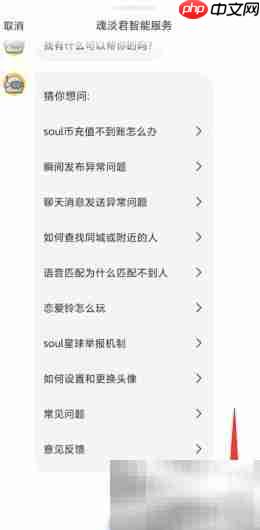 Soul客服人工电话是多少  第4张