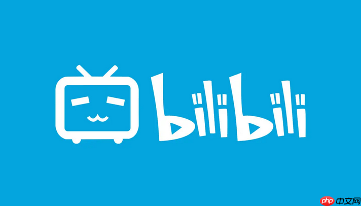 哔哔哔哩官网网址_哔哔哔哩官网网址快速进入观看更流畅