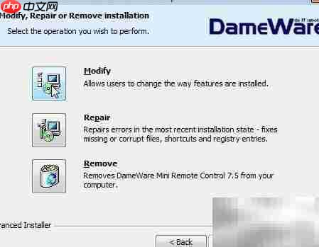 DameWare远程控制安装技巧  第3张