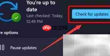 Win11更新摄像头驱动方法  第3张