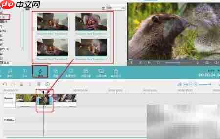 浪漫特效包免费领取  第8张