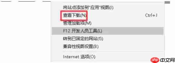ie11怎么修改默认下载地址-ie11修改默认下载地址的方法  第3张