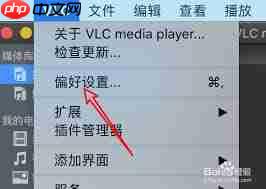 VLC media player如何设置使用媒体库  第1张