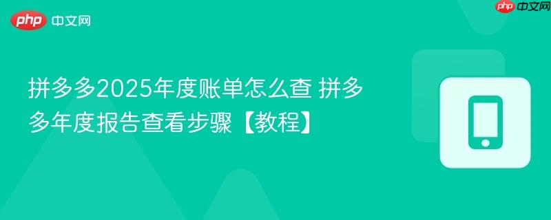 拼多多2025年度账单怎么查 拼多多年度报告查看步骤【教程】  第1张