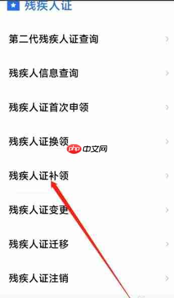 鄂汇办app残疾证怎么补办-残疾证补办流程  第3张