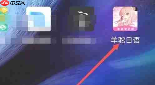 羊驼日语app广告消息推送怎么开启-广告消息推送设置方法  第1张