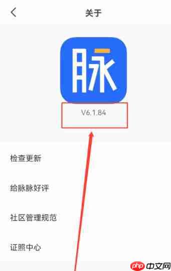 脉脉怎么查看版本号？-脉脉查看版本号的方法  第4张