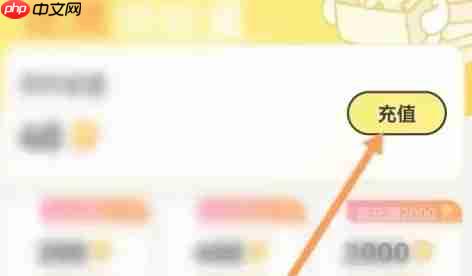 点点穿书app历史充值记录在哪-历史充值记录查看方法  第2张