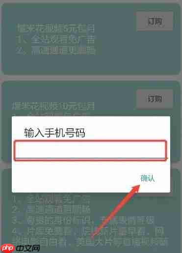 爆米花视频app怎么办理会员-会员办理流程  第3张