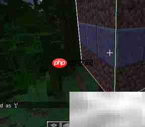 我的世界克隆指令详解  第3张