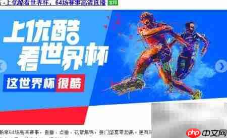 优酷看世界杯指南  第3张