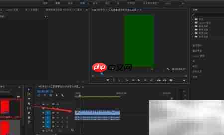PR调整素材帧速率技巧  第3张