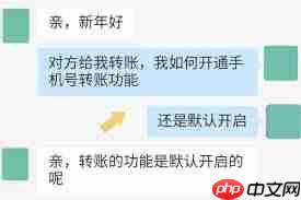 支付宝账号是手机号吗  第3张