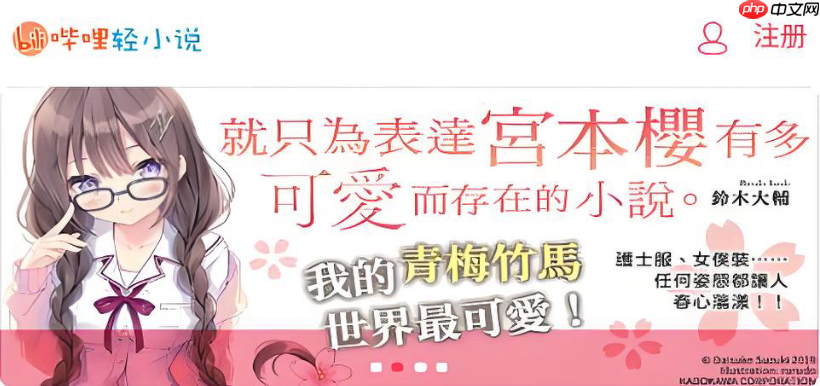 哔哩轻小说手机版入口_哔哩轻小说移动端在线阅读  第1张