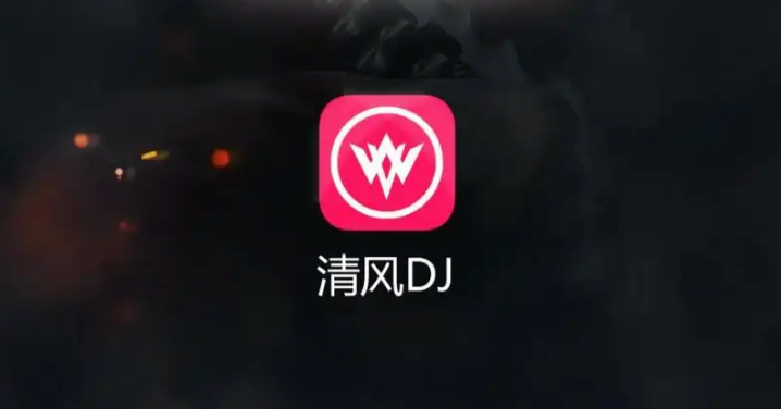 清风dj最新版入口 清风dj每日更新播放列表  第1张
