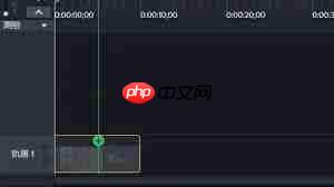 Camtasia Studio如何调整倍速  第2张