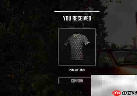 绝地求生国服老兵服装领取指南  第7张