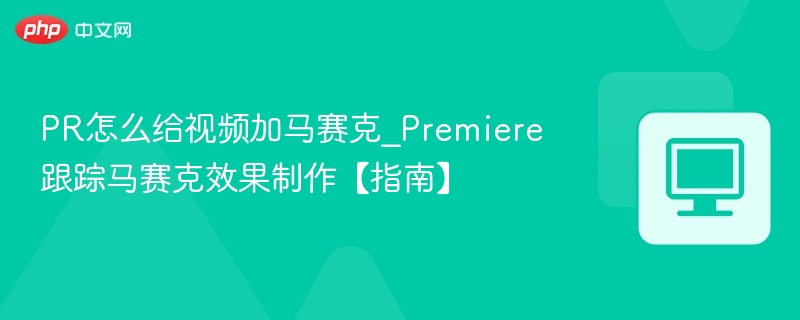PR怎么给视频加马赛克_Premiere跟踪马赛克效果制作【指南】  第1张