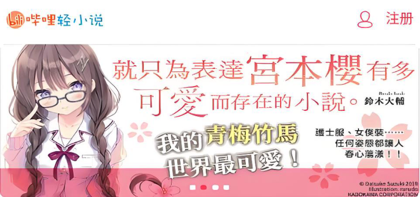哔哩轻小说永久入口_长期维护不关站  第1张