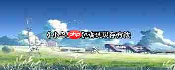 小鸟壁纸如何清理缓存  第1张