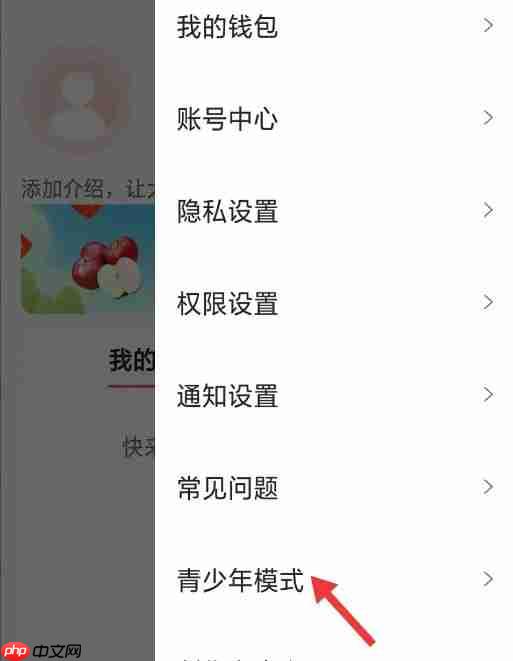 爆米花视频app青少年模式怎么开启-青少年模式设置  第3张