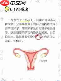 美柚如何发说说